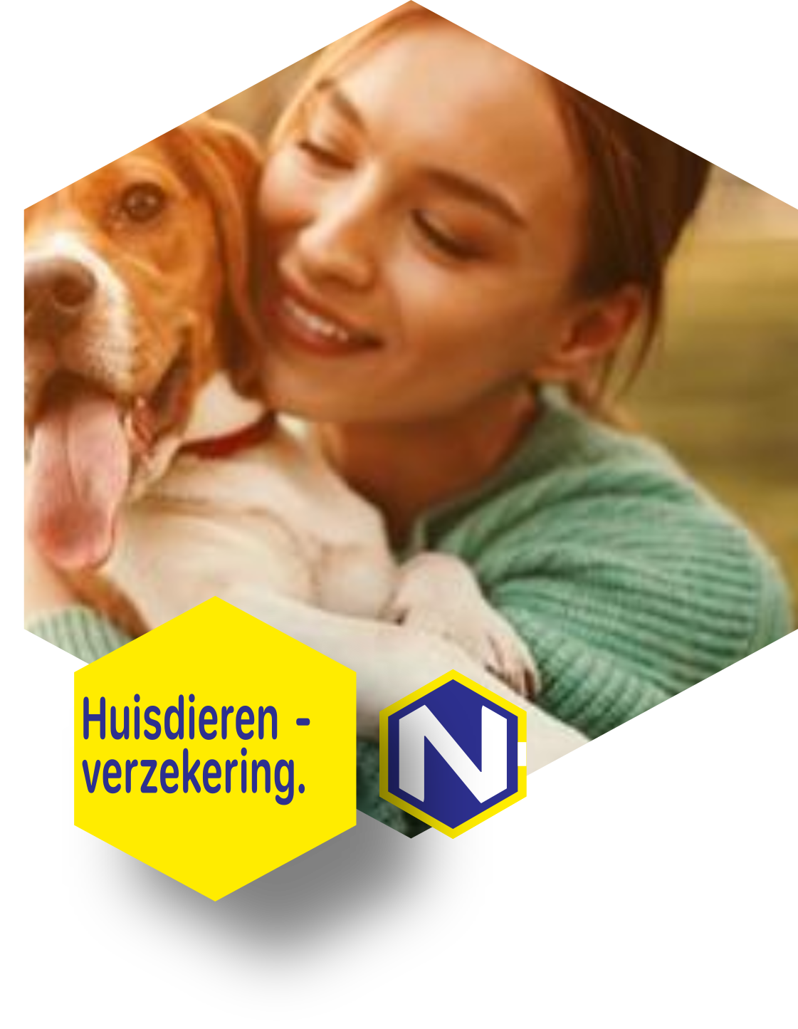 DierenVerzekering